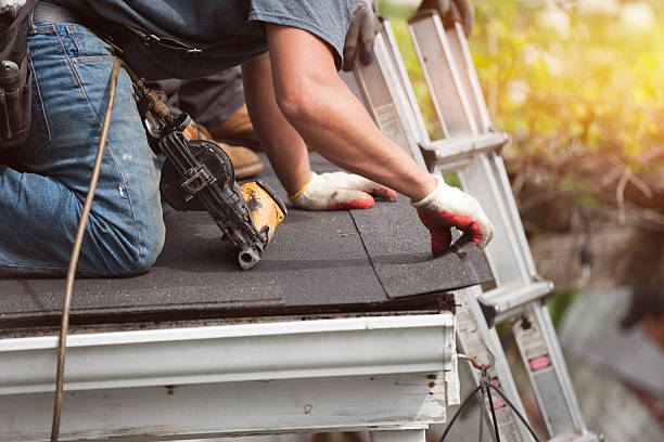 Best Metal Roofing Contractor  in Preston, ID